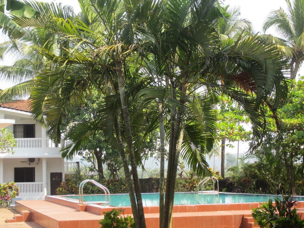 Hotel Riverside Baga Bagian luar foto